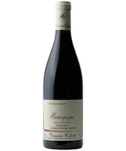 Domaine Collotte Bourgogne Rouge