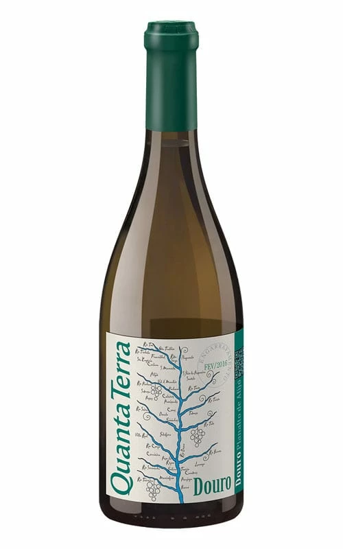 Quanta Terra Gran Reserva Blanco 3 Quanta Terra Gran Reserva Blanco