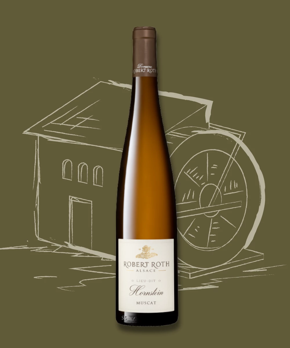 Robert Roth Muscat Hornstein 4 Robert Roth Muscat Hornstein - Image 2