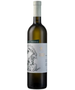 Tsiakkas Xynisteri 2021