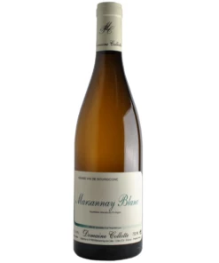 Domaine Collotte Marsannay Blanc 2021